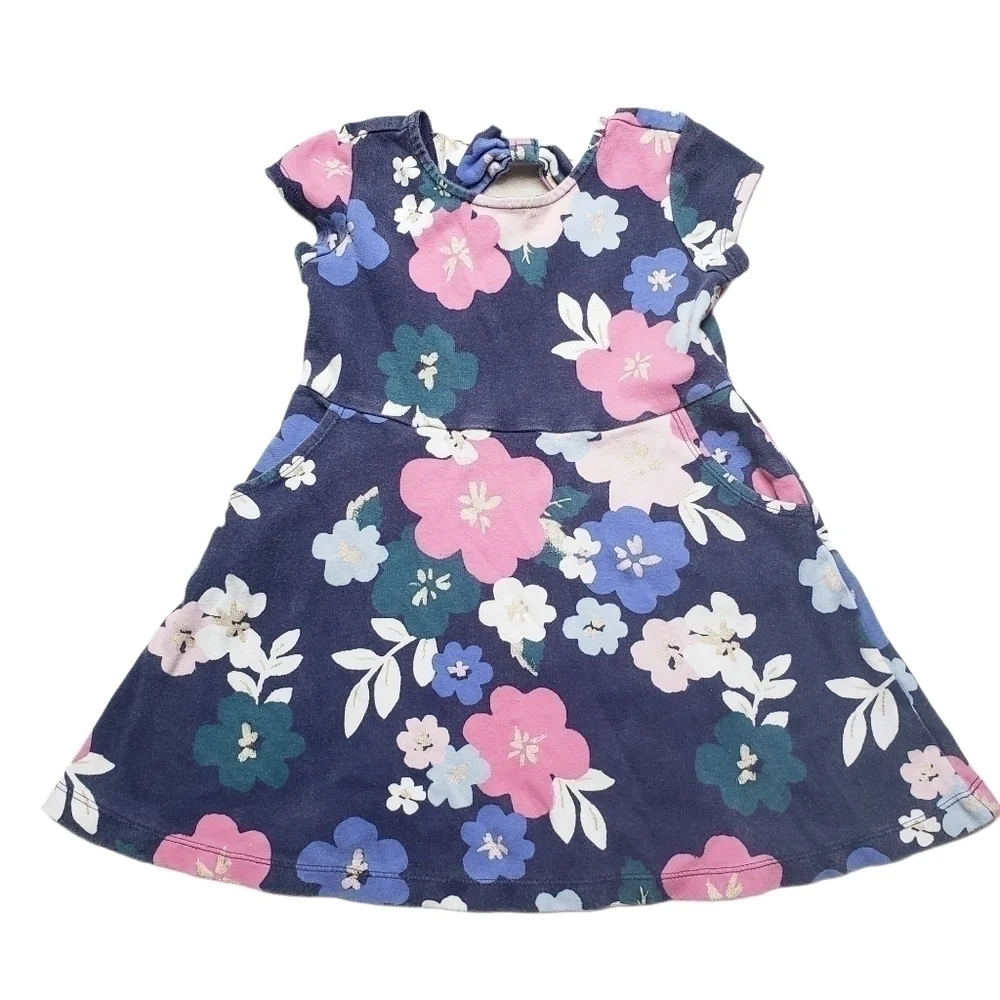 Gymboree Kids Toddler Girls Floral Sparkle Dress With Pockets